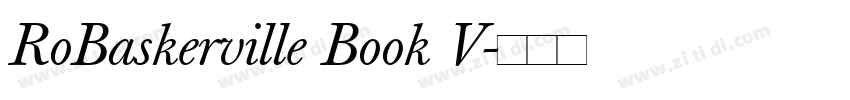 RoBaskerville Book V字体转换